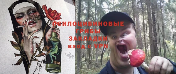 мдпв Белокуриха
