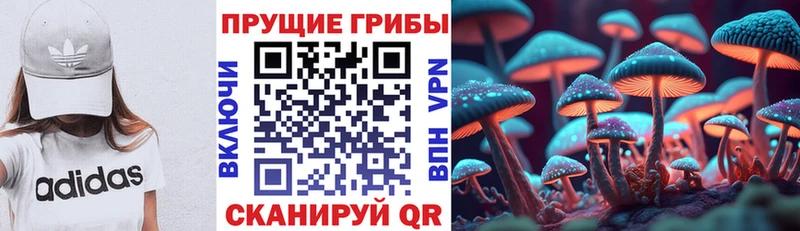 Псилоцибиновые грибы мицелий  Видное 